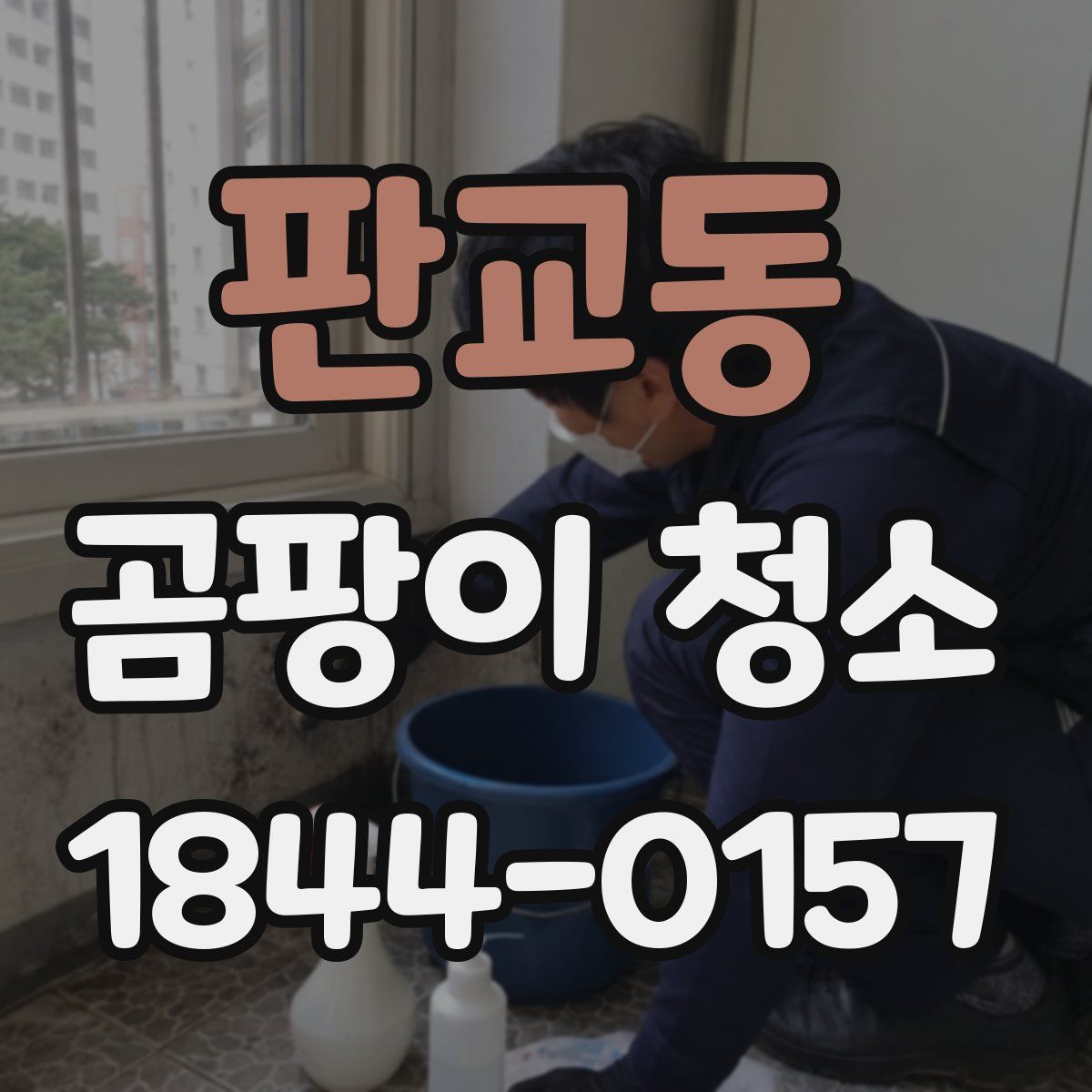 판교동 곰팡이 청소