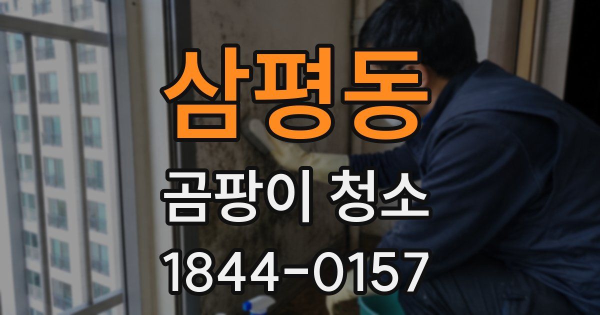 삼평동 곰팡이 청소
