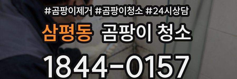 삼평동 곰팡이 청소