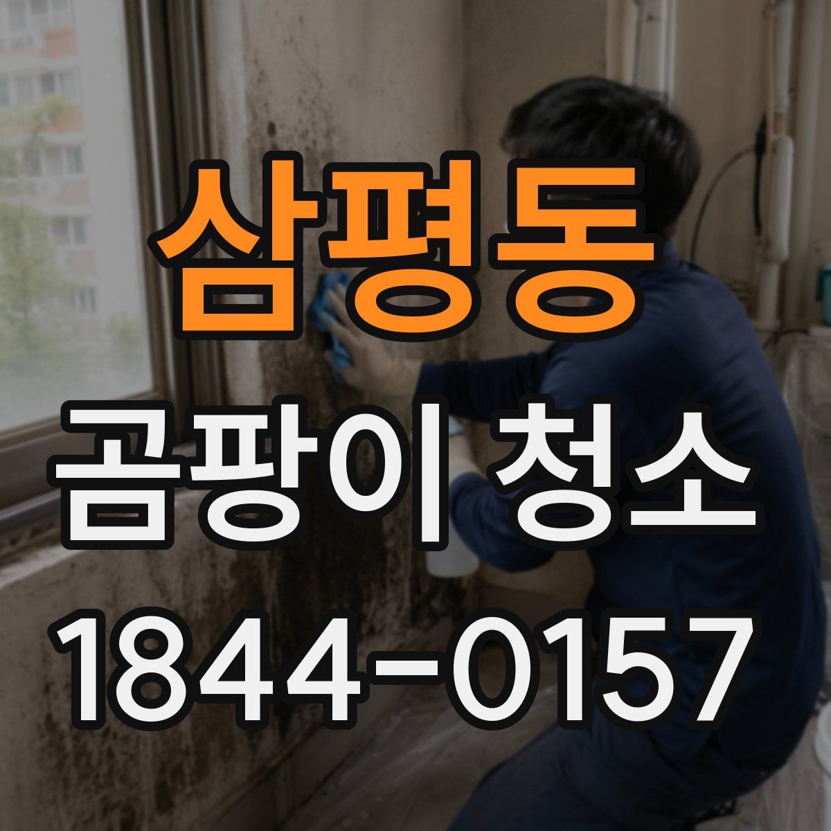 삼평동 곰팡이 청소
