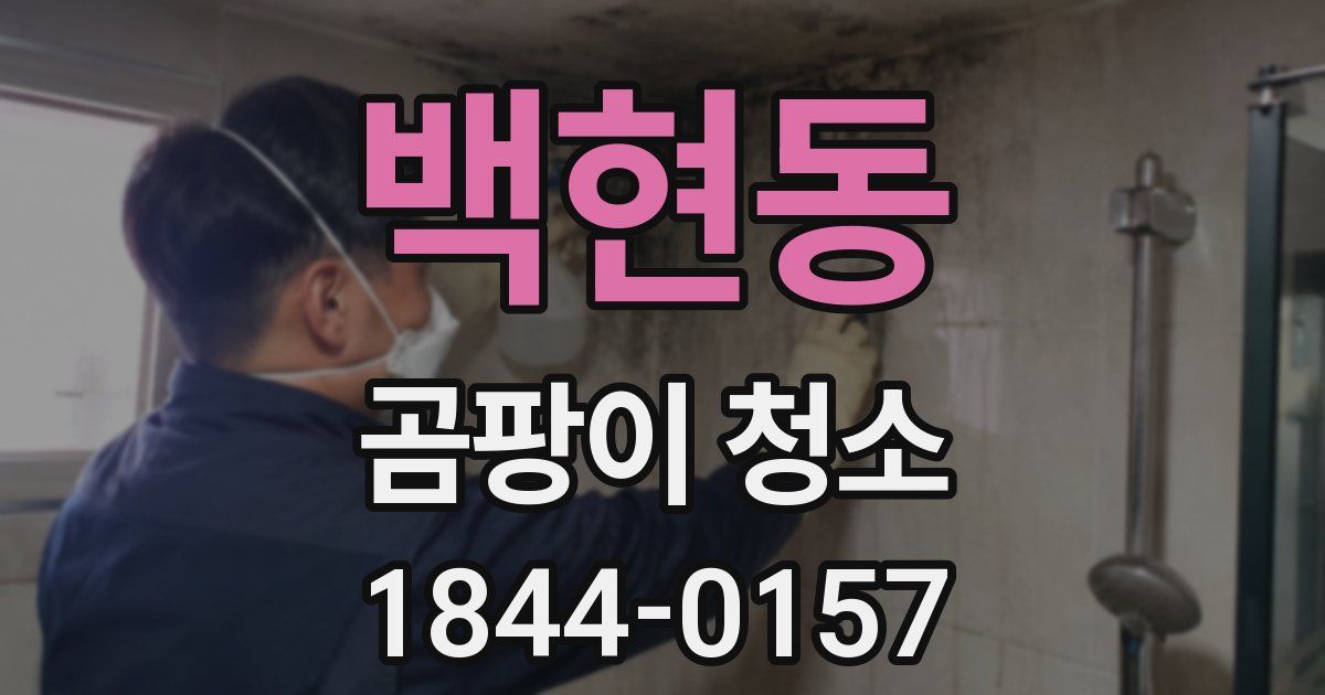 백현동 곰팡이 청소
