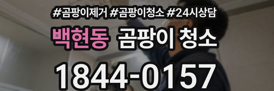 백현동 곰팡이 청소