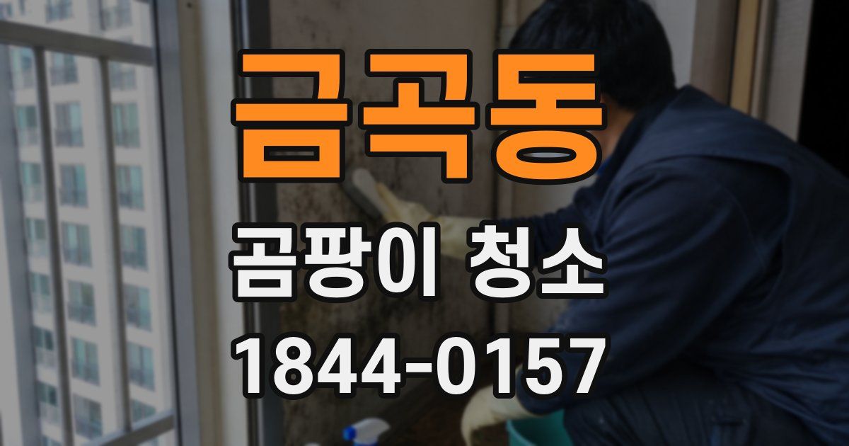 금곡동 곰팡이 청소