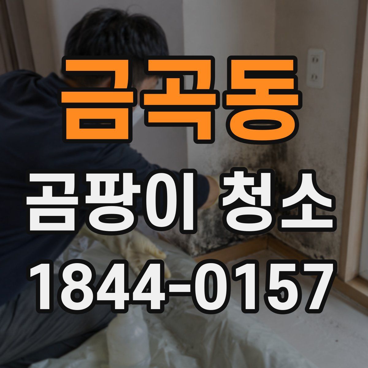 금곡동 곰팡이 청소