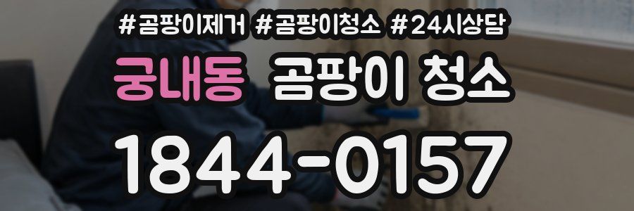 궁내동 곰팡이 청소