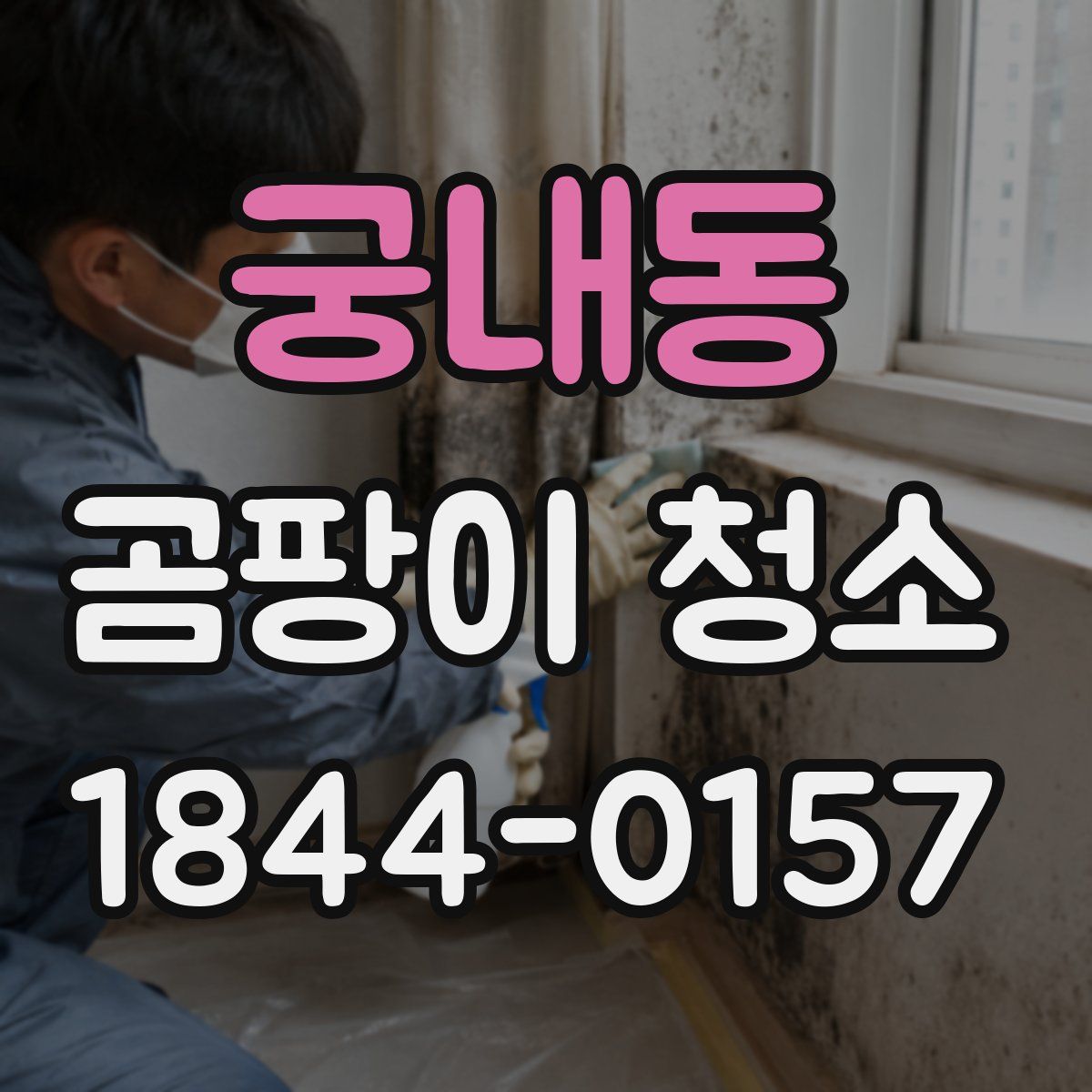 궁내동 곰팡이 청소