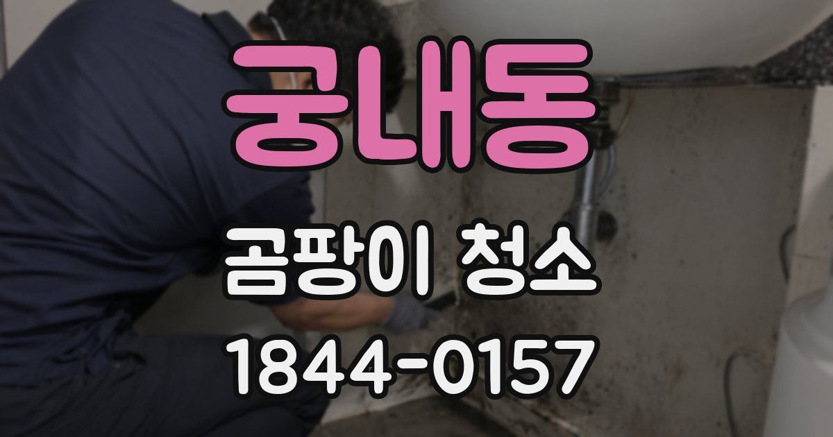 궁내동 곰팡이 청소