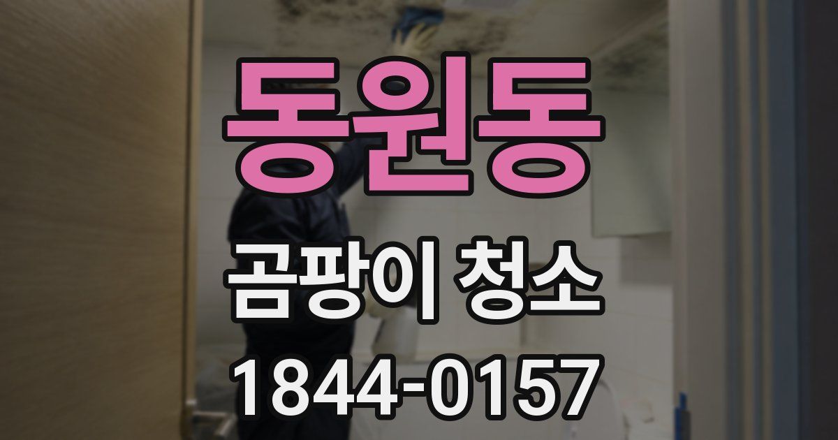 동원동 곰팡이 청소