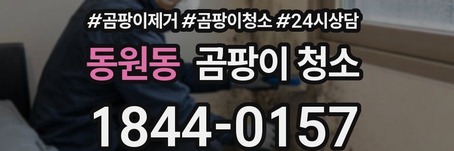 동원동 곰팡이 청소