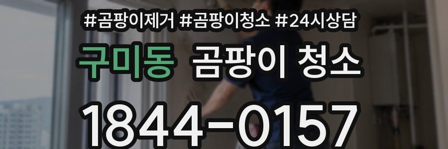 구미동 곰팡이 청소