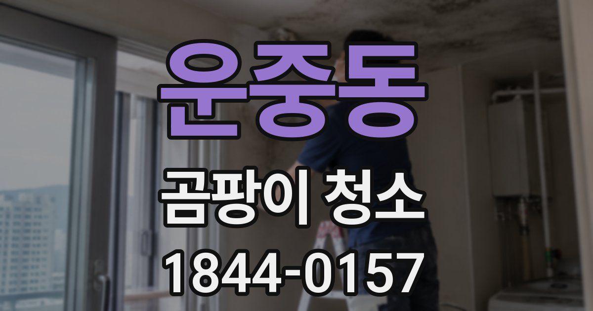 운중동 곰팡이 청소