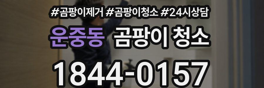 운중동 곰팡이 청소