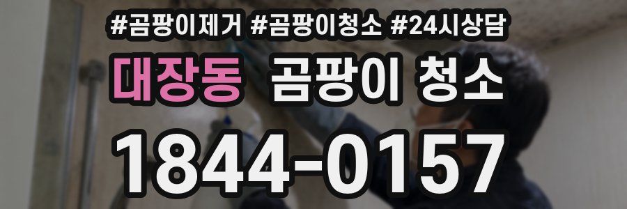 대장동 곰팡이 청소