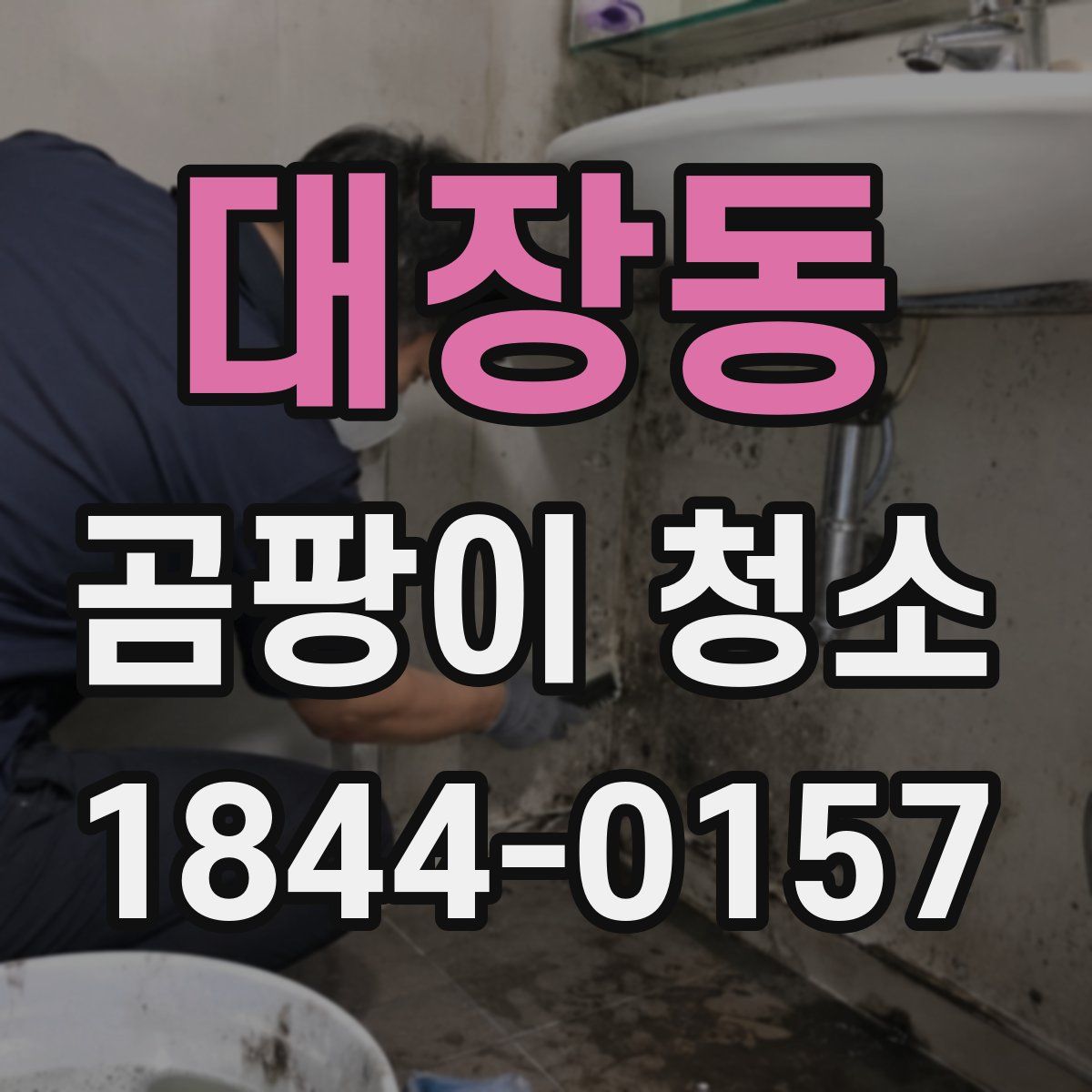 대장동 곰팡이 청소