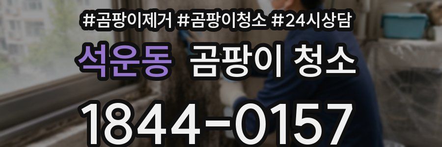 석운동 곰팡이 청소
