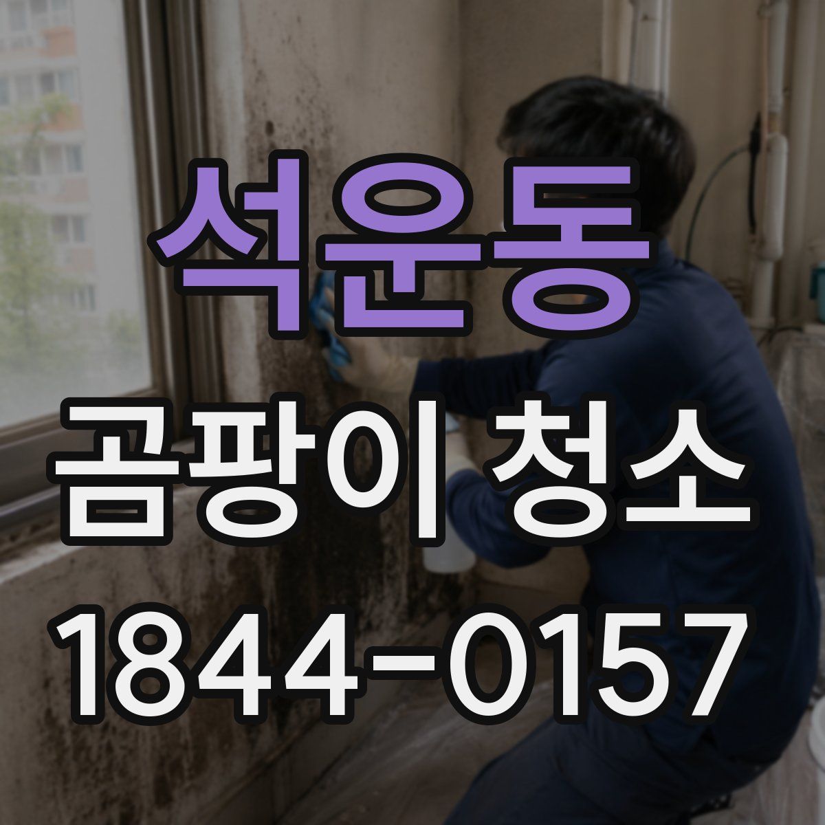 석운동 곰팡이 청소