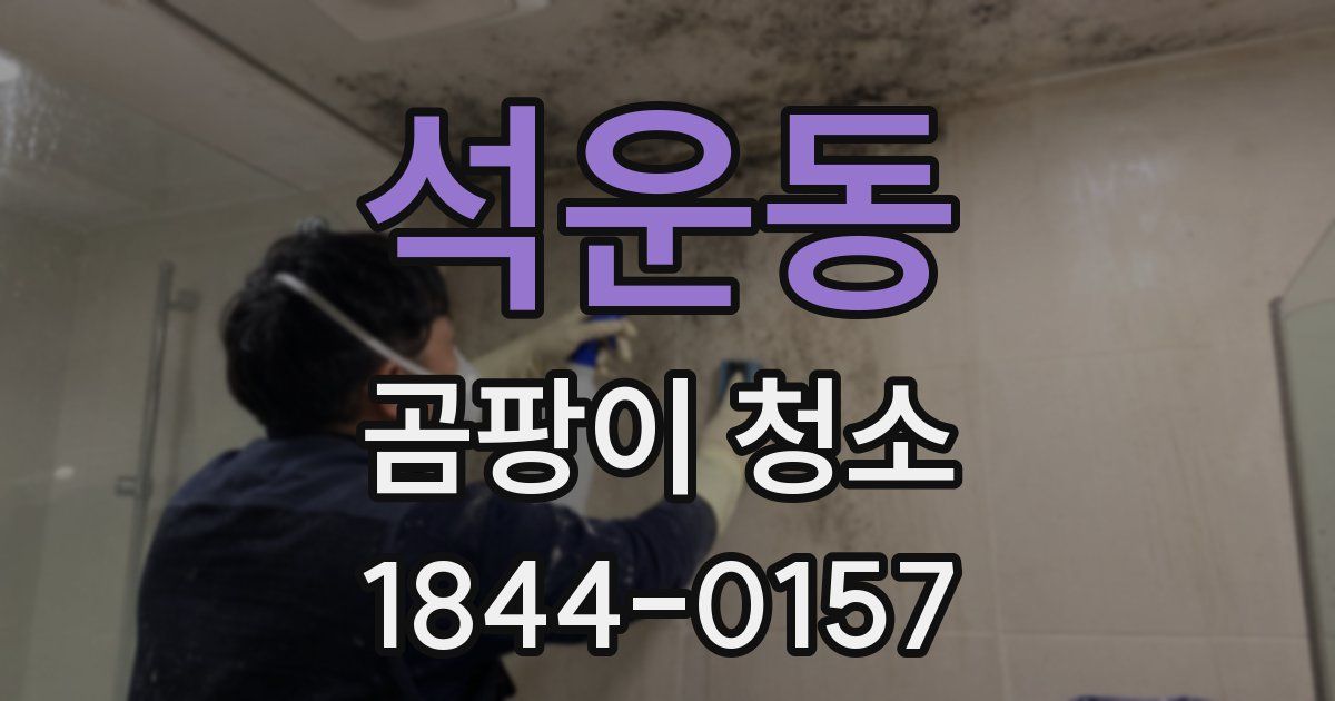 석운동 곰팡이 청소