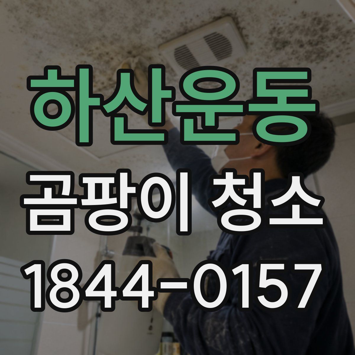 하산운동 곰팡이 청소