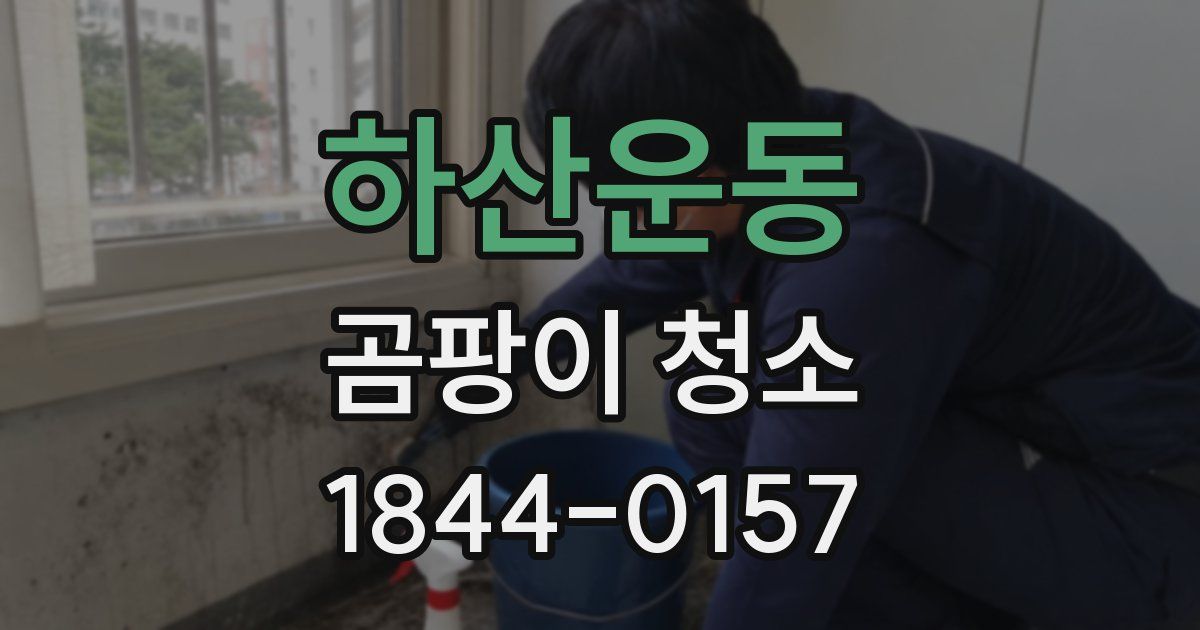 하산운동 곰팡이 청소