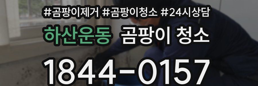 하산운동 곰팡이 청소