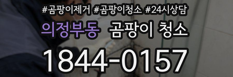 의정부동 곰팡이 청소