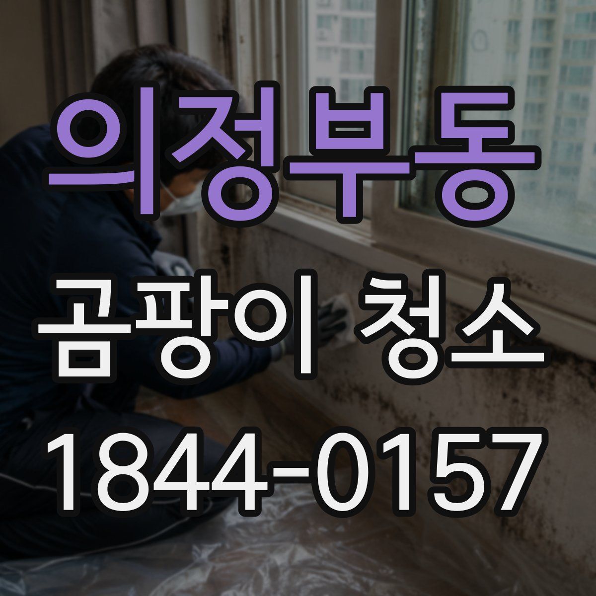 의정부동 곰팡이 청소
