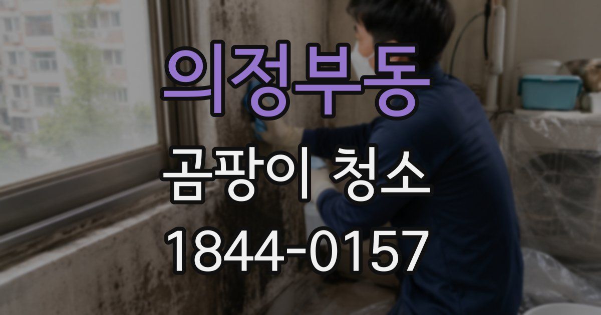 의정부동 곰팡이 청소