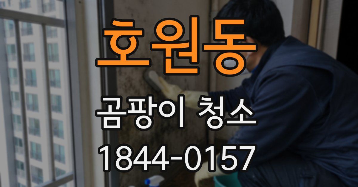호원동 곰팡이 청소