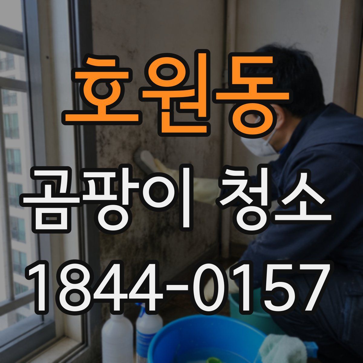 호원동 곰팡이 청소
