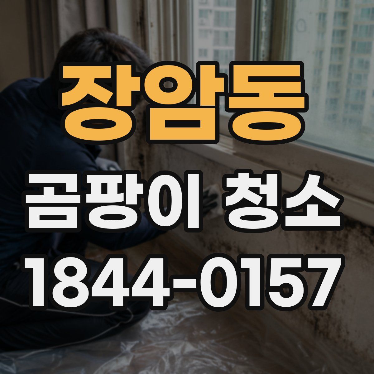 장암동 곰팡이 청소