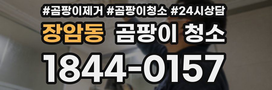 장암동 곰팡이 청소