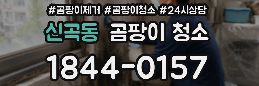 신곡동 곰팡이 청소