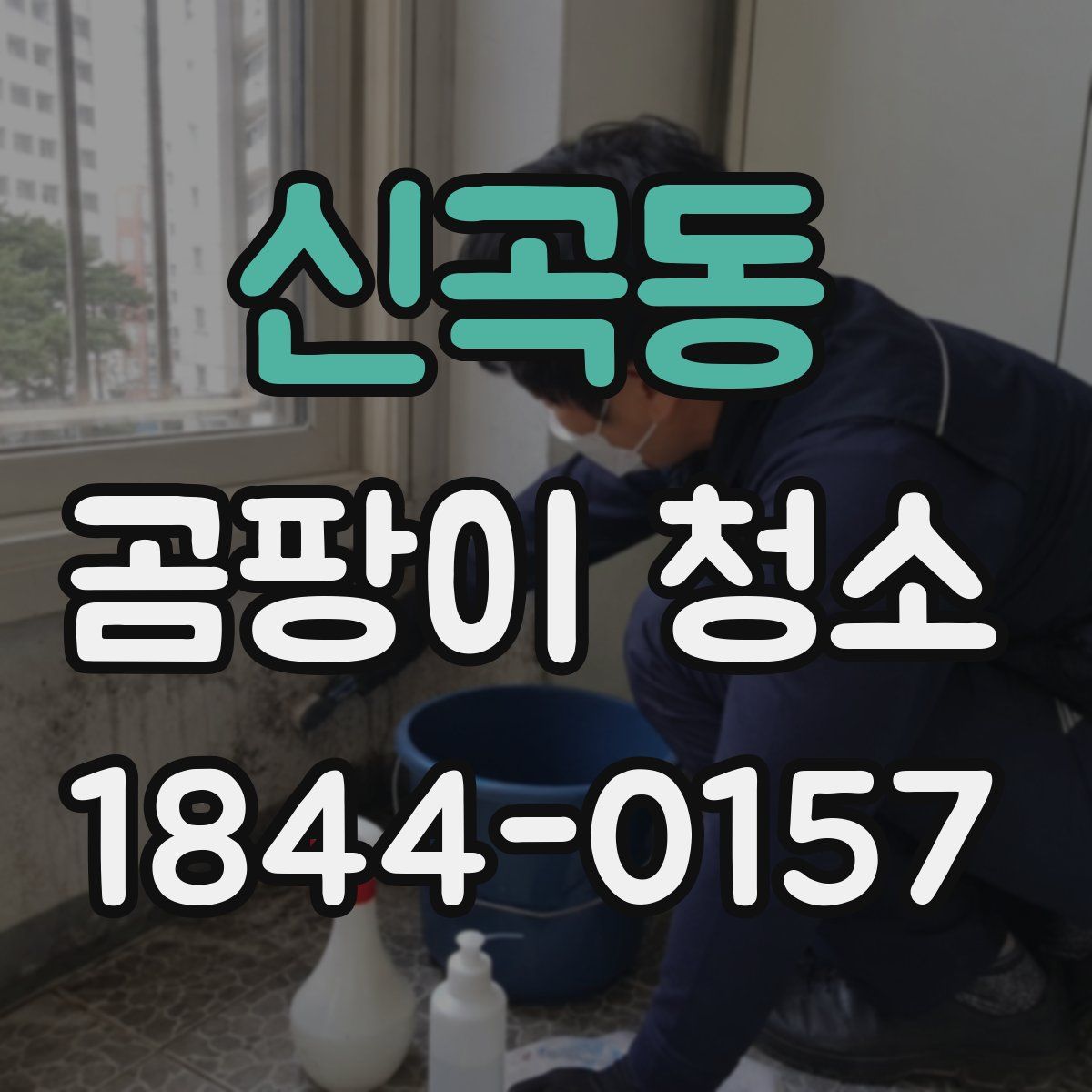 신곡동 곰팡이 청소