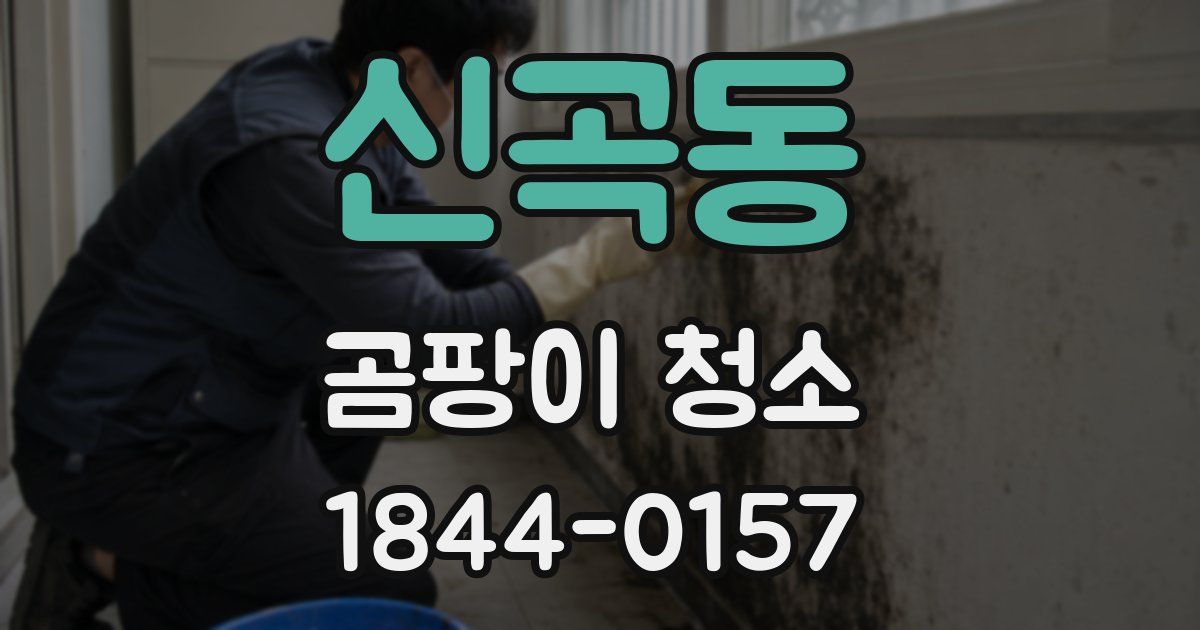 신곡동 곰팡이 청소