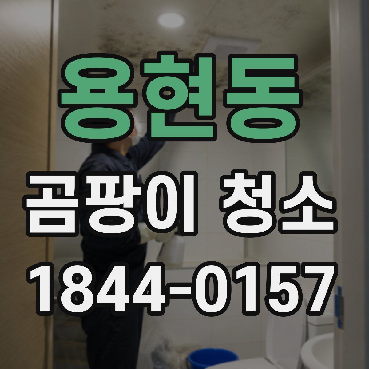용현동 곰팡이 청소 번진 범위를 먼저 확인해야 하는 현장 이유