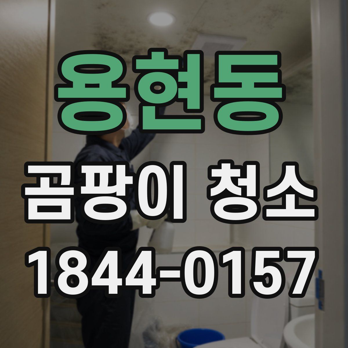 용현동 곰팡이 청소