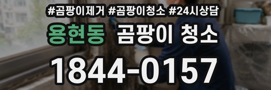 용현동 곰팡이 청소