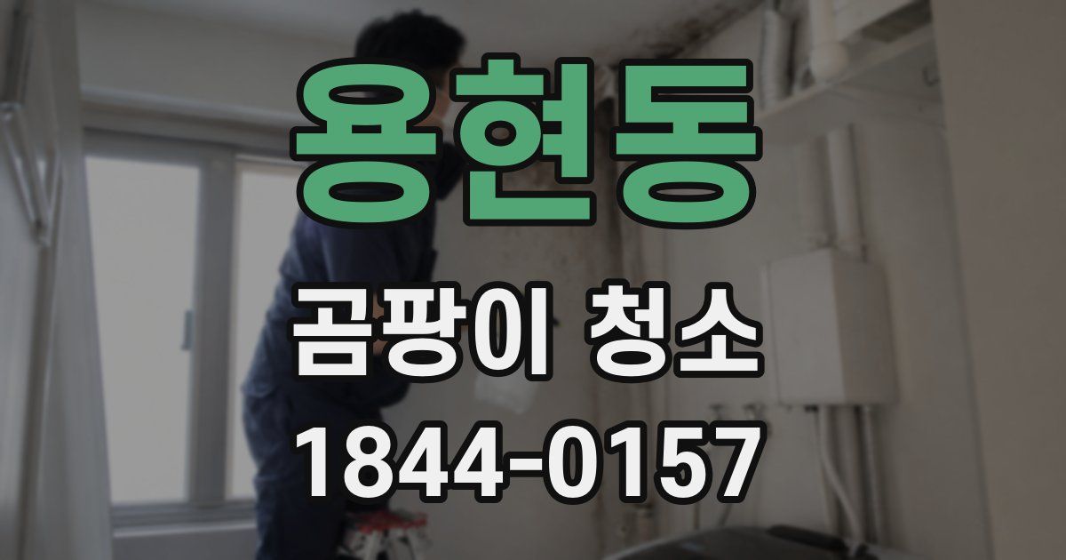 용현동 곰팡이 청소