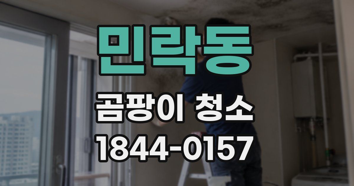 민락동 곰팡이 청소