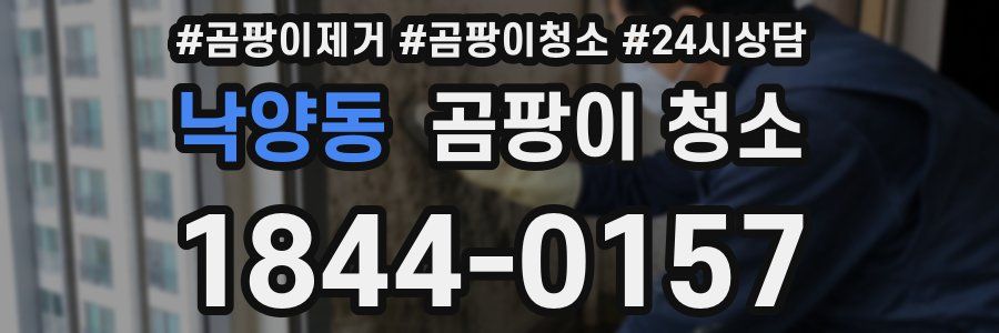 낙양동 곰팡이 청소