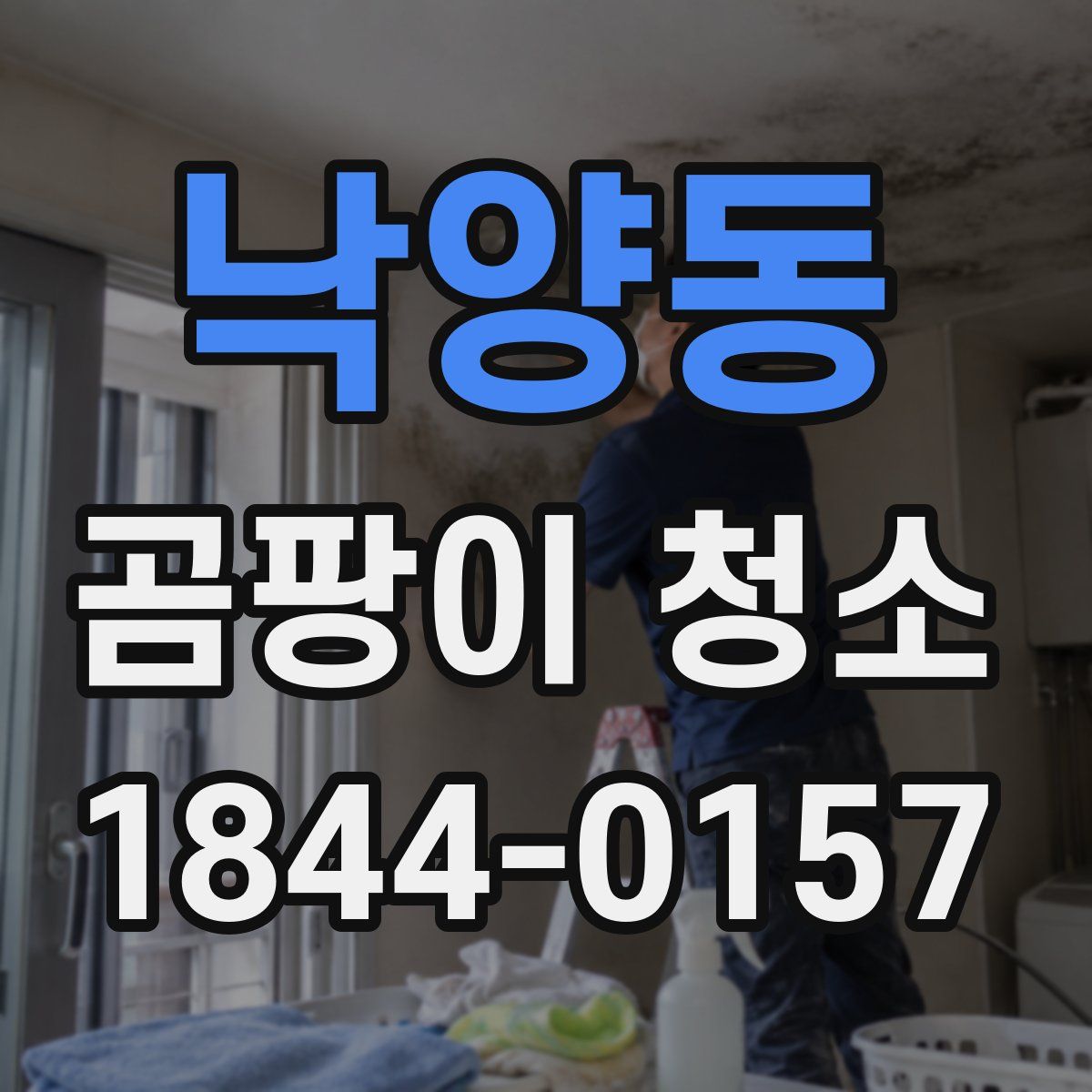 낙양동 곰팡이 청소