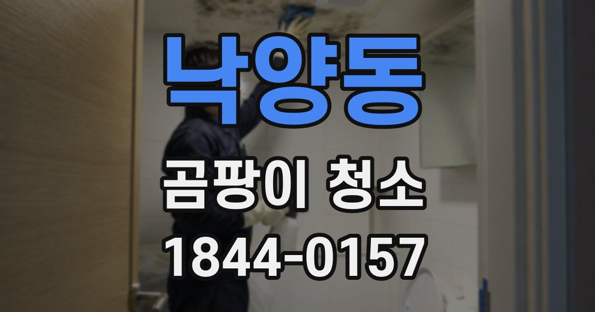 낙양동 곰팡이 청소