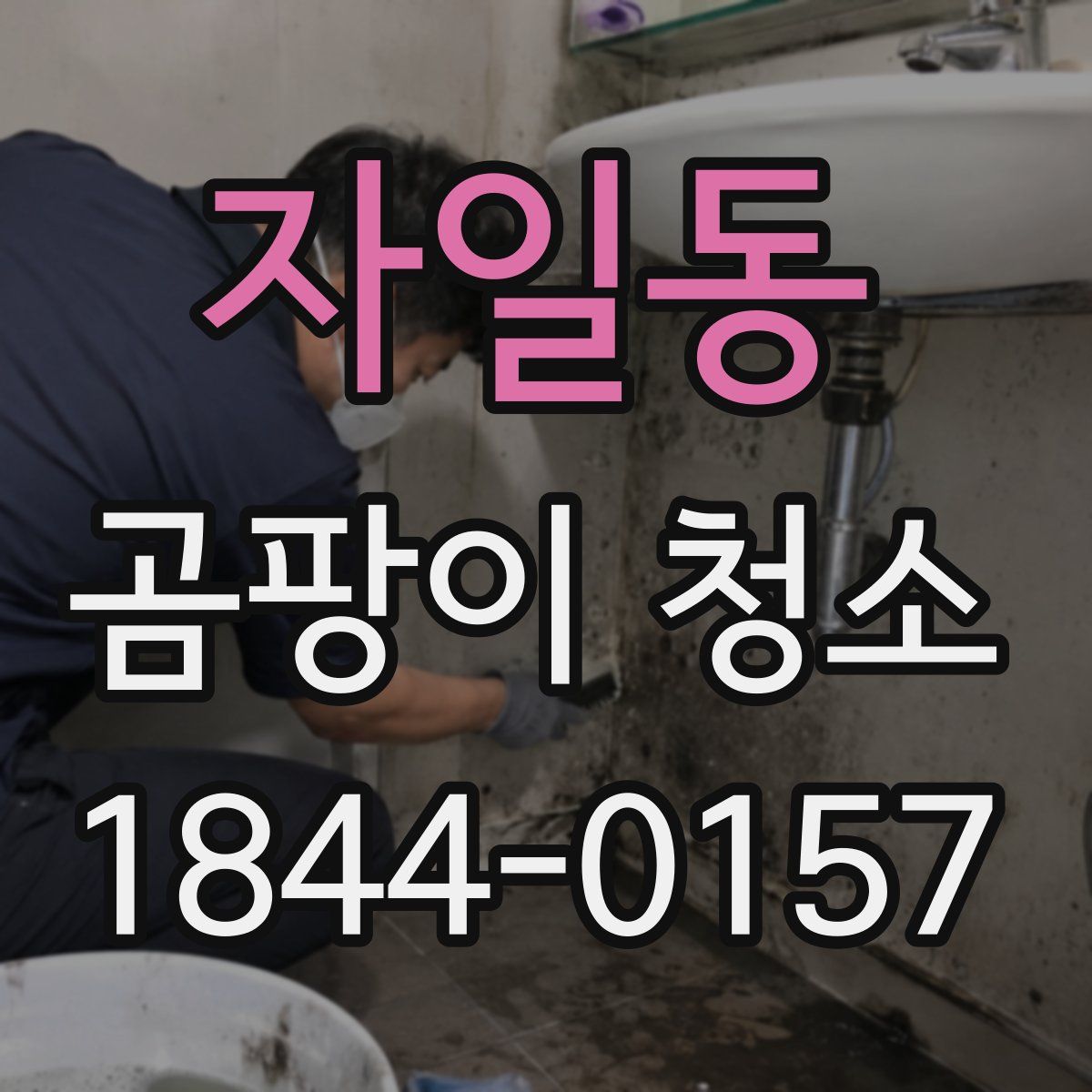 자일동 곰팡이 청소