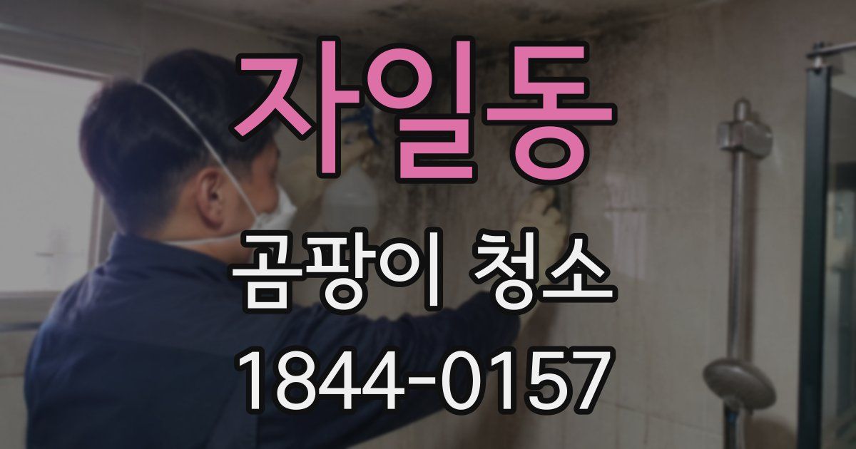 자일동 곰팡이 청소