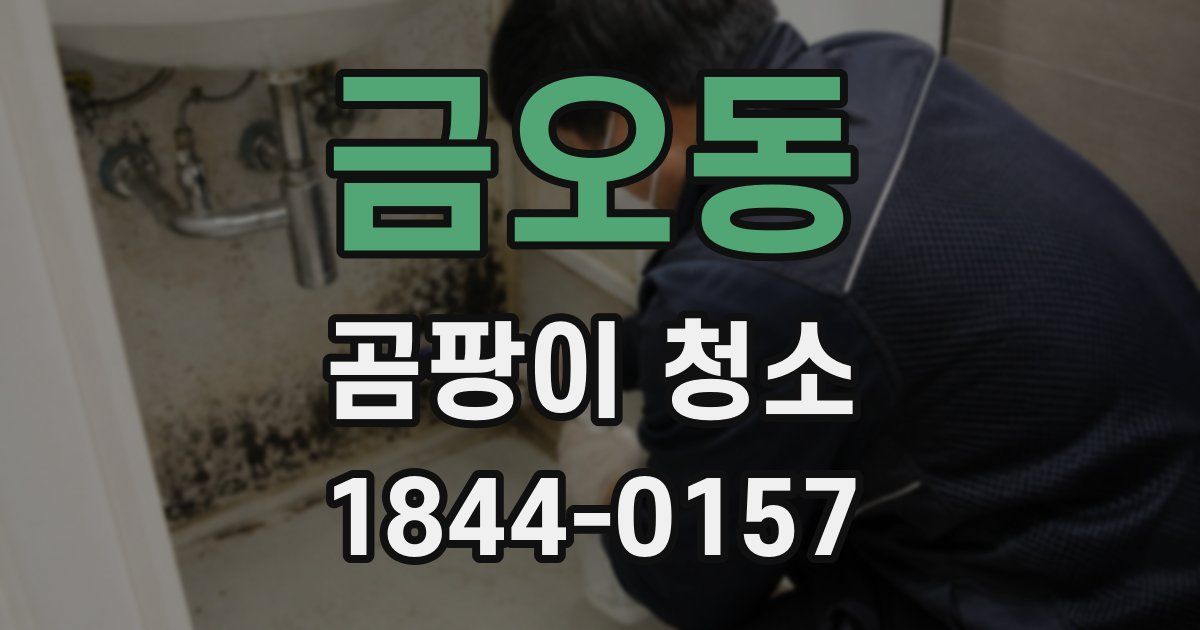 금오동 곰팡이 청소