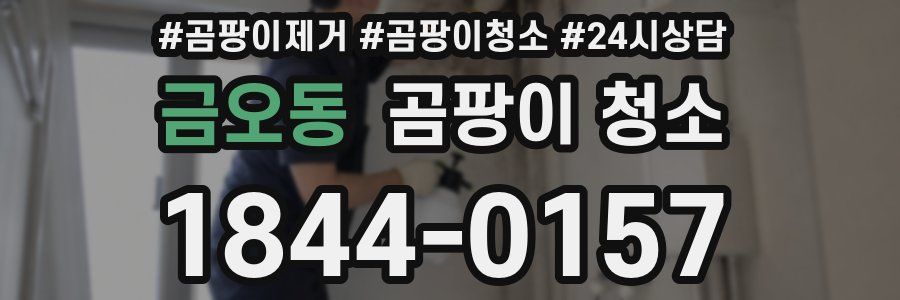 금오동 곰팡이 청소
