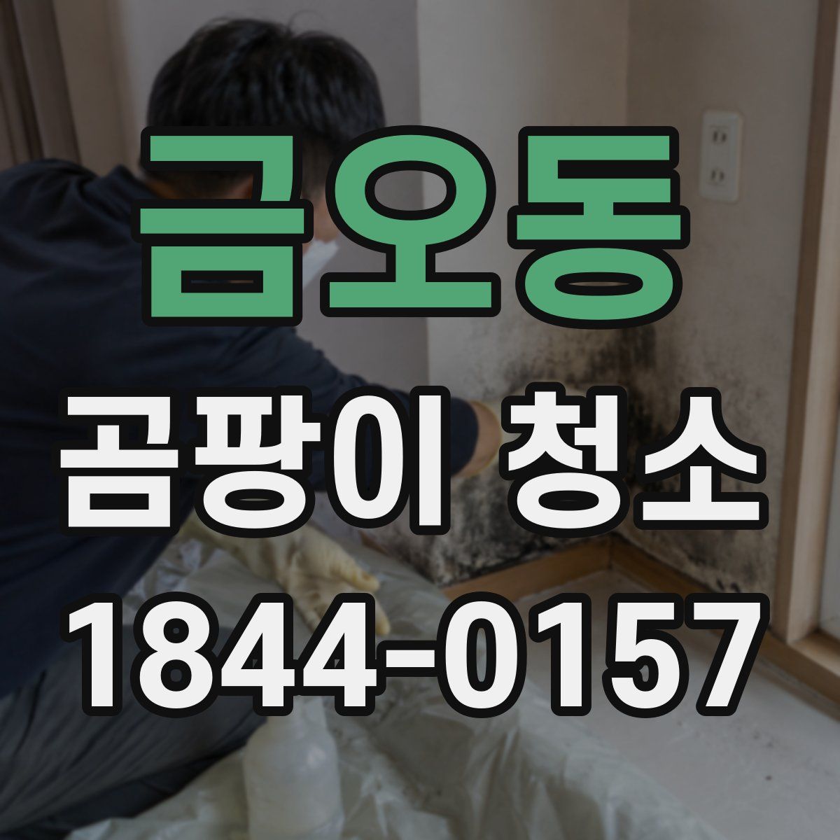 금오동 곰팡이 청소
