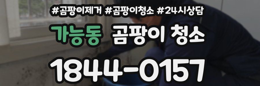 가능동 곰팡이 청소