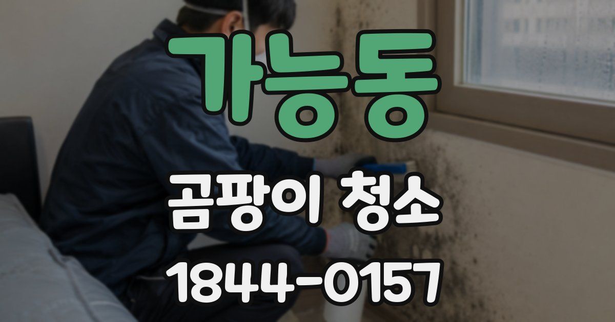 가능동 곰팡이 청소