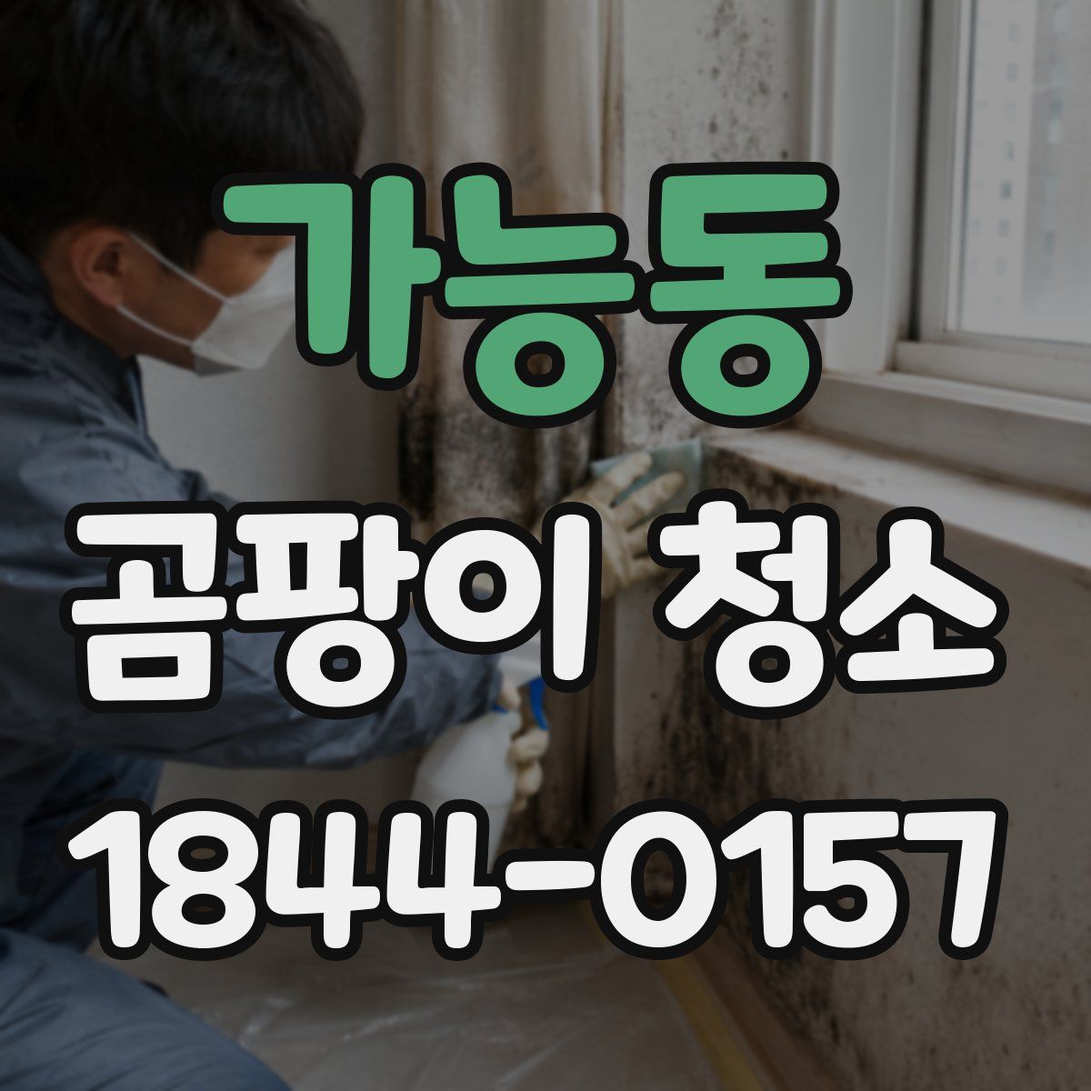 가능동 곰팡이 청소